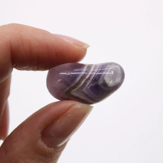 A polished, thumb-sized, purple and white striped stone is held between a person's fingers against a plain white background.