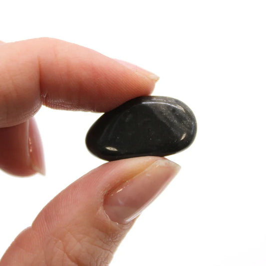 A dark, polished stone is being held between a light skinned thumb and forefinger, against a bright white background.