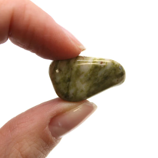 A green-and-white polished rock is held between the tips of two fingers, in a bright, white setting.