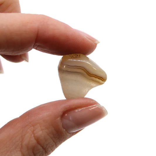A light-colored, striped crystal is held between a thumb and forefinger, against a plain white backdrop.