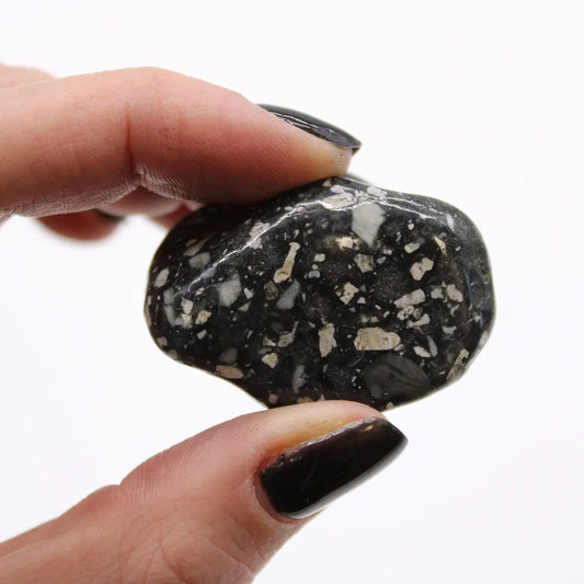 A polished black and white stone is being held between two fingers with black nail polish, against a plain white background.