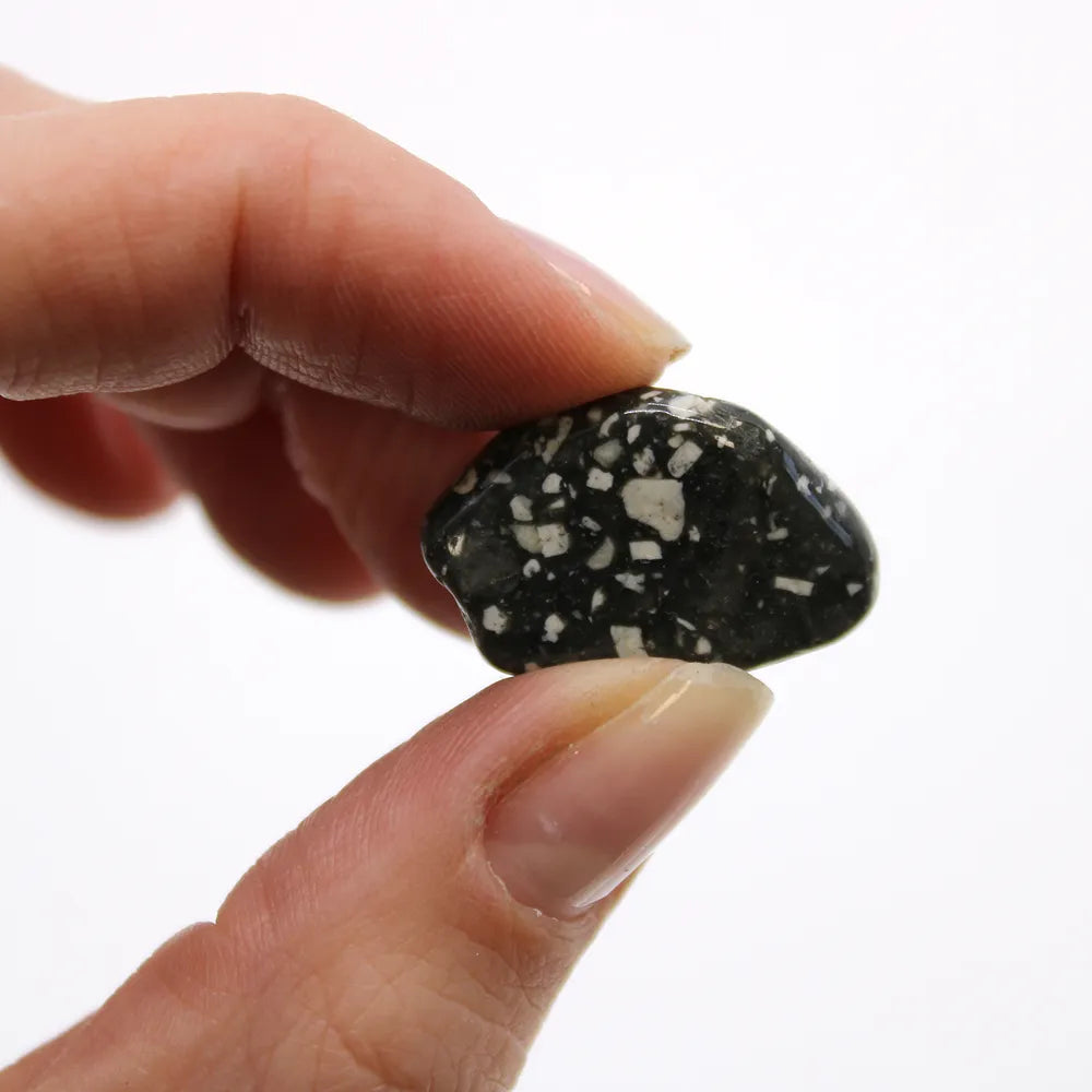 A hand holds a polished, black and white speckled stone between its thumb and index finger against a bright white background.