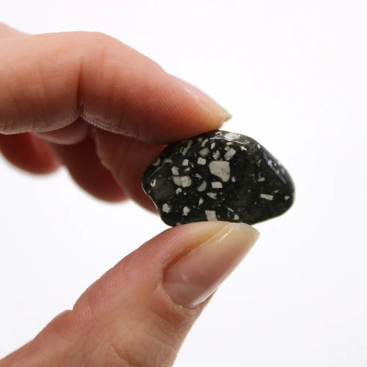 A hand holds a polished, black and white speckled stone between its thumb and index finger against a bright white background.