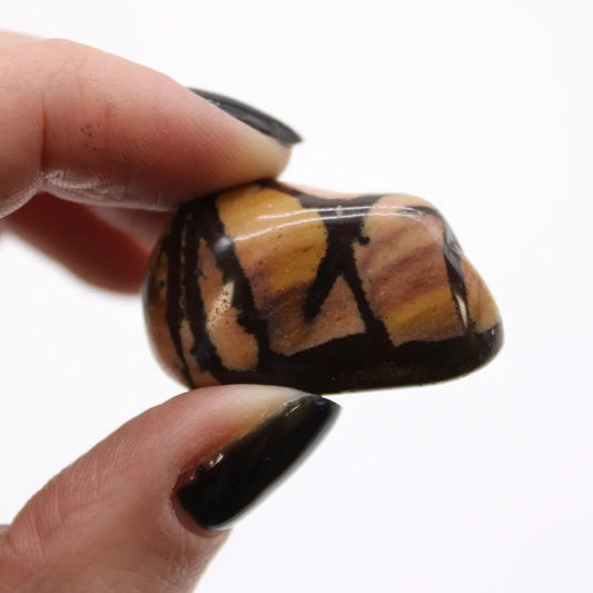Fingers with dark nail polish hold a small, polished stone. The stone is light brown with dark brown, geometric-like markings. The background is plain white.