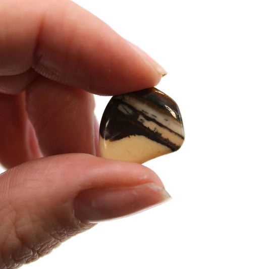 A polished, striped stone is pinched between a person’s finger and thumb. The background is plain white.