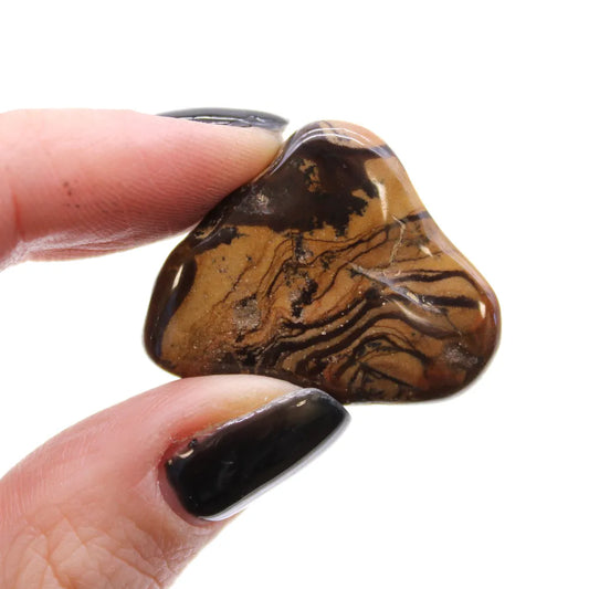 A polished, triangular tiger iron stone is held between a thumb and forefinger with black polished nails, against a stark white background.