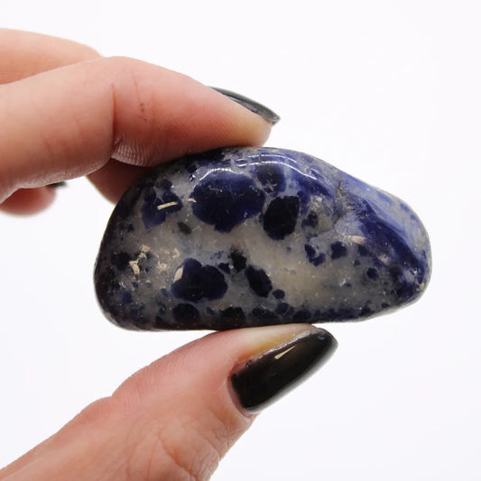 A person's fingers, with black nail polish, hold a polished sodalite stone with mottled white and dark blue areas, against a stark white background.