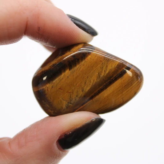 Fingers with dark nail polish hold a polished, brown and gold tiger's eye stone, appearing smooth and slightly translucent against a plain white backdrop.