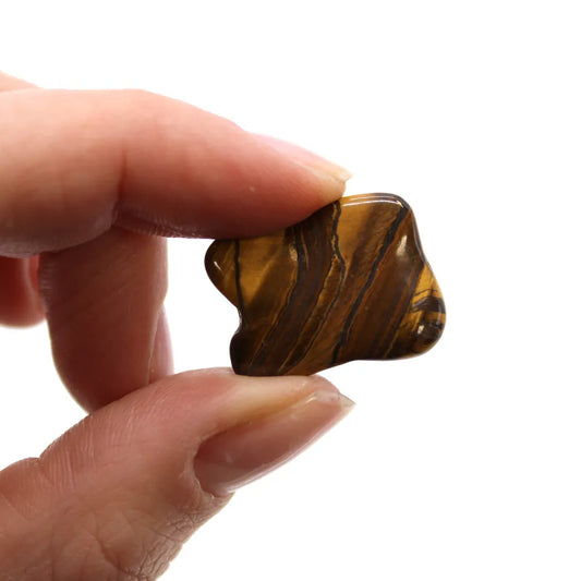 A hand holds a tumbled tiger's eye stone between thumb and forefinger. The stone is brown with darker stripes, and the background is plain white.