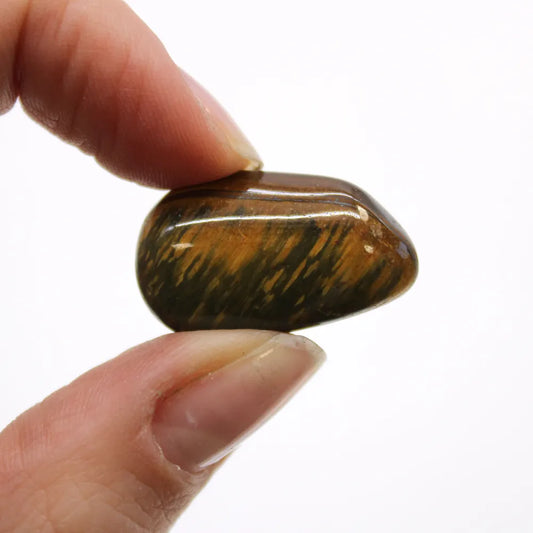 A finger and thumb hold a polished, rounded tiger's eye stone. It has brown and green stripes, and is set against a solid white background.