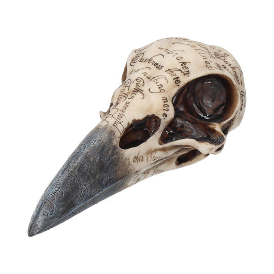 A detailed bird skull with engraved script covers the surface. Phrases include "Darkness there," "nothing more," and "unbroken," carved into the bone, creating an eerie, mysterious atmosphere.