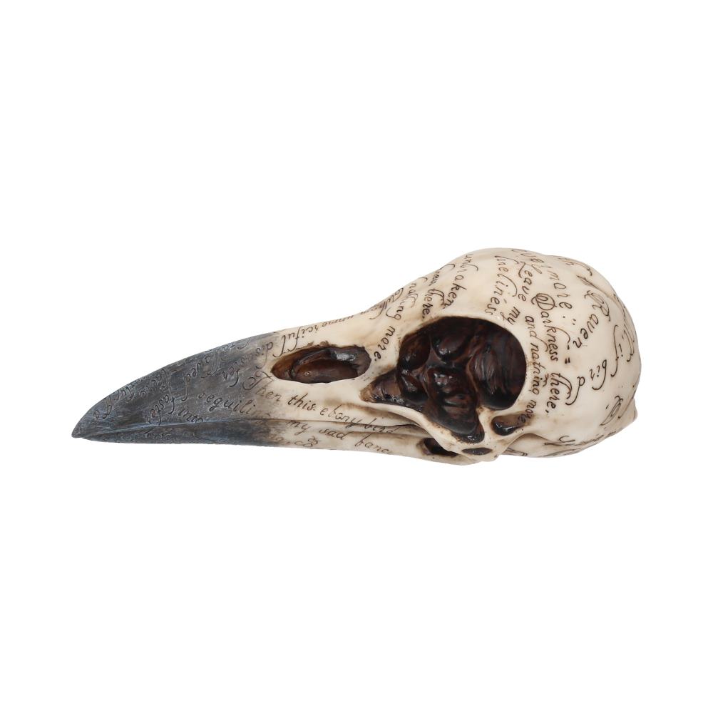 Edgars Raven Skull 21cm