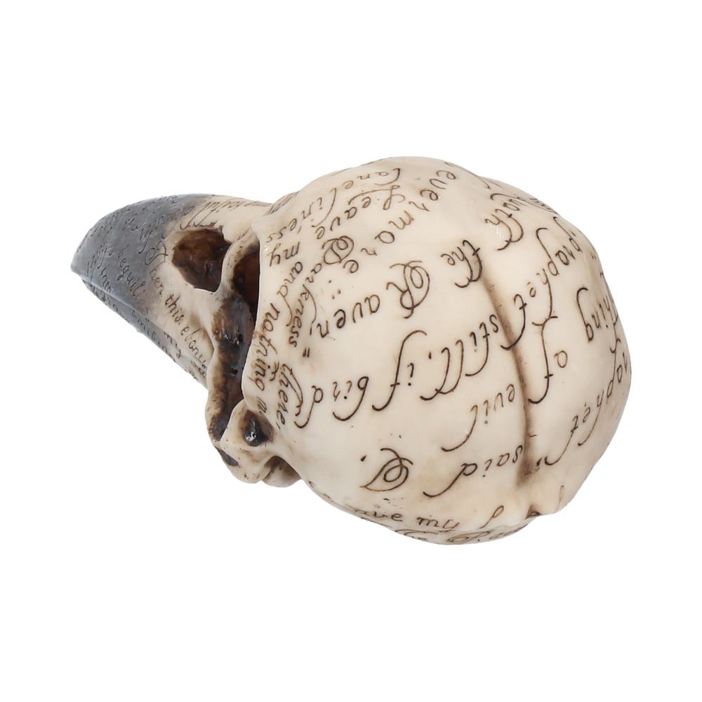 A detailed skull with a dark beak displays elegant cursive script across its surface, featuring phrases like "happiness there," "believe my soul," and "forever bound," on a white background.