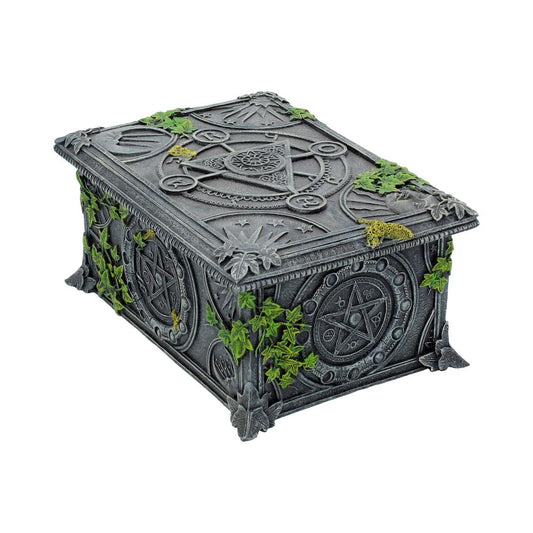 A gray, ornate box displays intricate patterns and symbols, entwined with green vines. It rests on a plain, white background, giving an ancient, mystical impression.