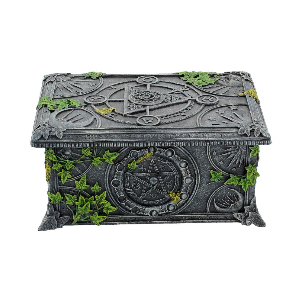 A rectangular gray stone box, adorned with a pentagram and various symbolic engravings, is decorated with green ivy leaves. It sits against a plain white background.