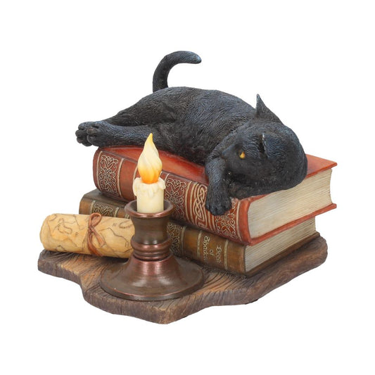 A black cat figurine rests atop stacked, ornate books beside a lit candle, placed on a wooden base with a rolled parchment. The books are labeled "Book of Shadows."