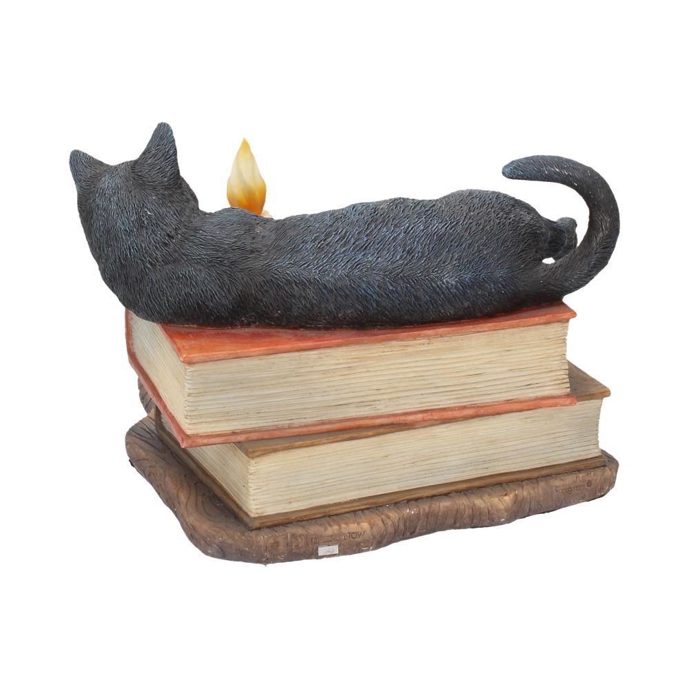 A sculpted black cat lies on a stack of three books, with a small candle flame near its tail. The books rest on a wooden surface.