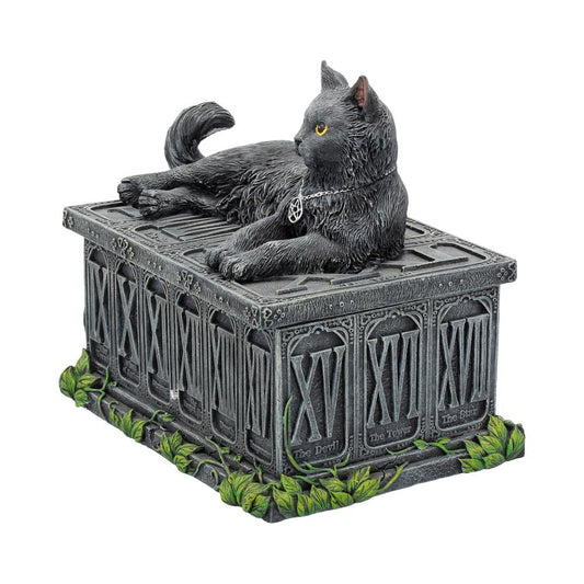 A black cat with a pentagram necklace lounges atop a decorative tarot-themed box, adorned with Roman numerals and symbols. Green foliage surrounds the box's base.