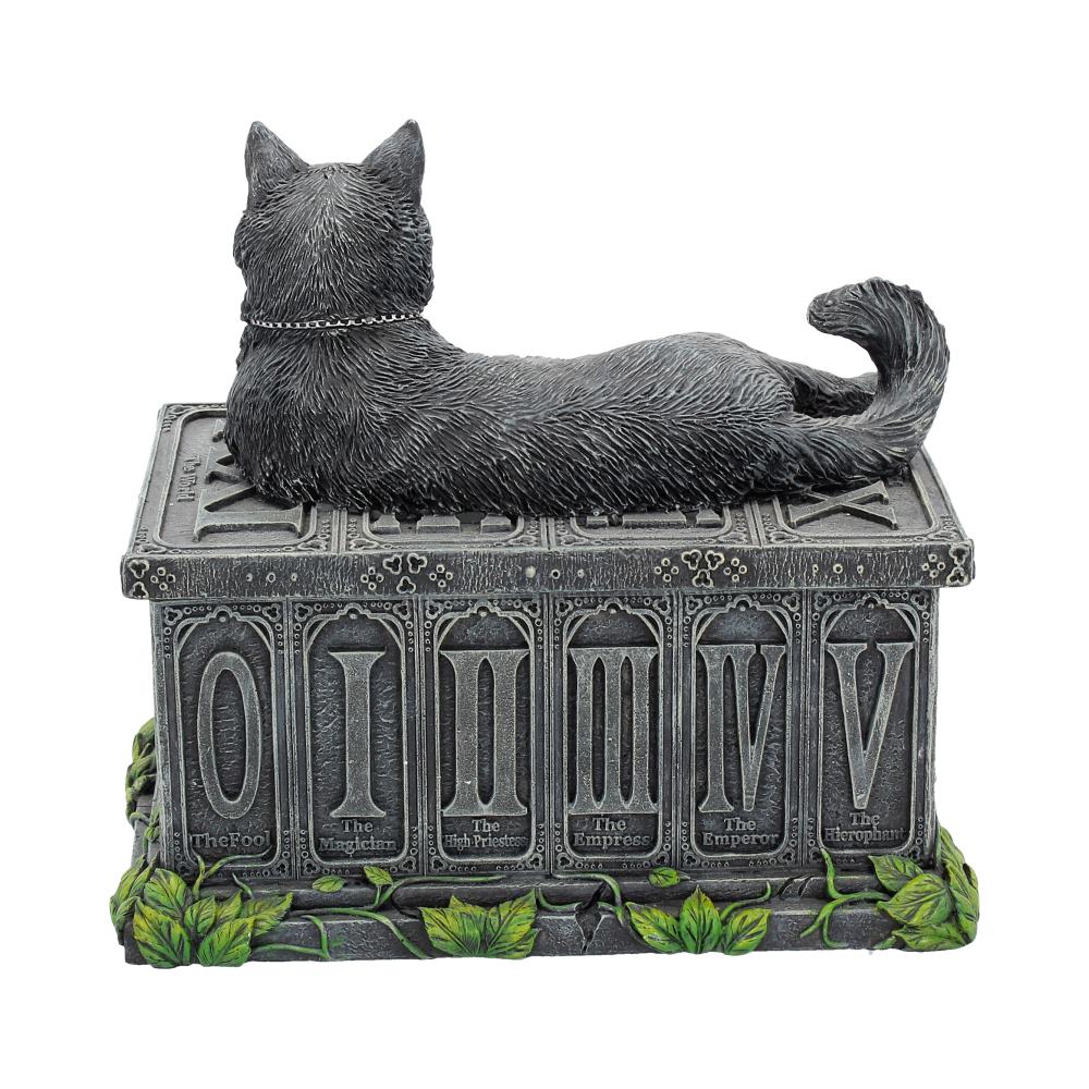 Fortunes Watcher Tarot Box 17cm