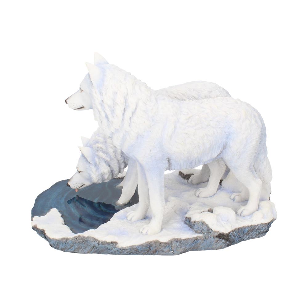 Three lifelike, white wolves peer into a small icy pool, standing on a snowy, rocky terrain, suggesting a wintry wilderness scene.