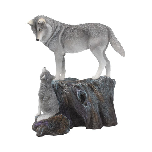 Two gray wolves are perched on a textured, rock-like sculpture. One stands alert, observing the surroundings, while the other sits below, looking up, in a naturalistic pose.