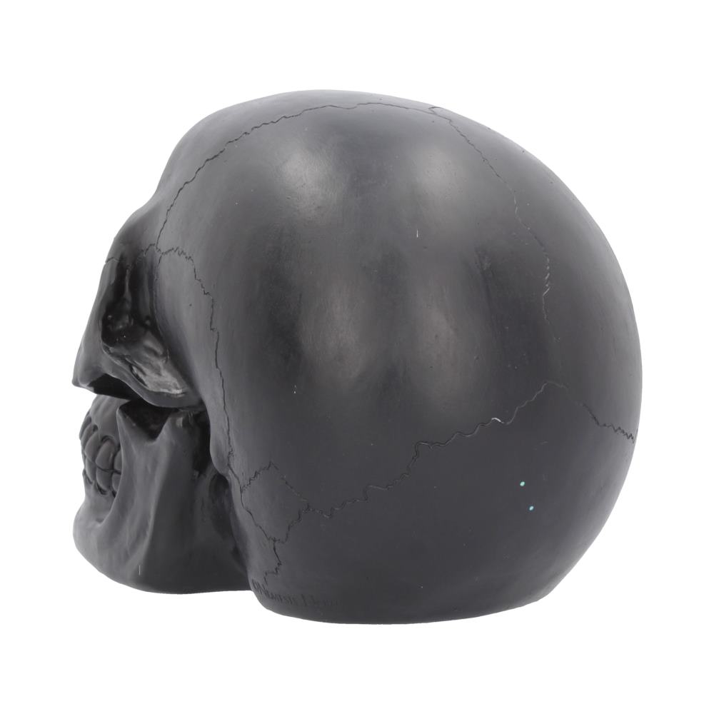 A black skull faces left, displaying a smooth surface with visible cracks. It sits against a plain, white background.