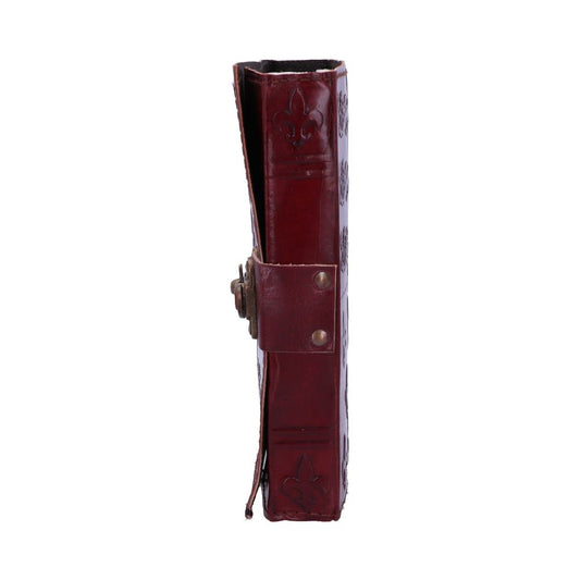 A dark brown leather-bound journal stands upright. It features embossed fleur-de-lis patterns and a metal clasp on its spine, set against a plain white background.