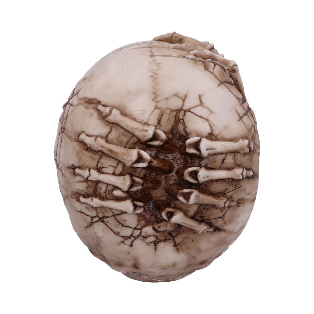 A round, stone-like object resembling an egg is encased by skeletal hands, with cracks and bone textures. It's set against a plain white background.