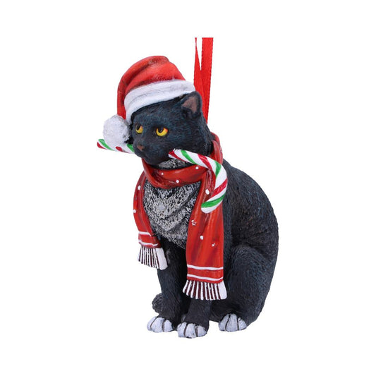 Black cat ornament sits wearing a red Santa hat and red scarf, holding a green-and-white candy cane in its mouth, suspended by a red ribbon against a white background.