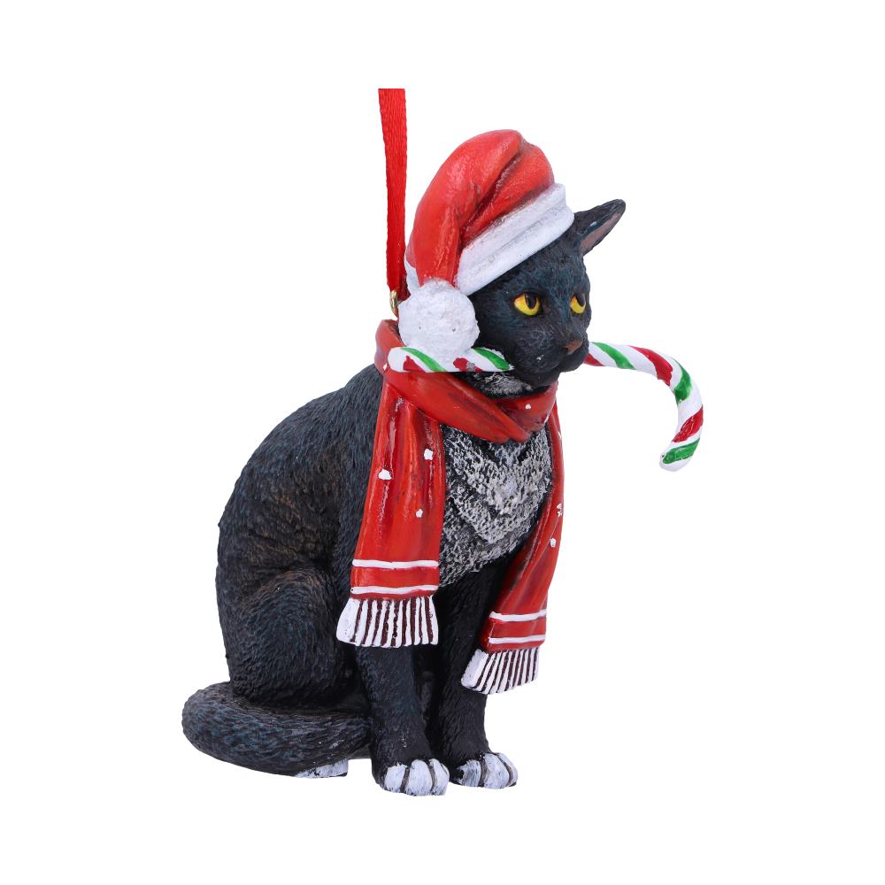 Black cat ornament wears a red Santa hat and scarf, holds a red white and green candy cane in its mouth, suspended by red ribbon against a plain white background.