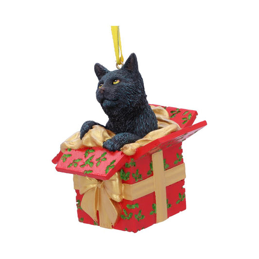 A black cat sits inside a red Christmas present, looking left. A gold ribbon with a yellow hanging strap embellishes the decoration.