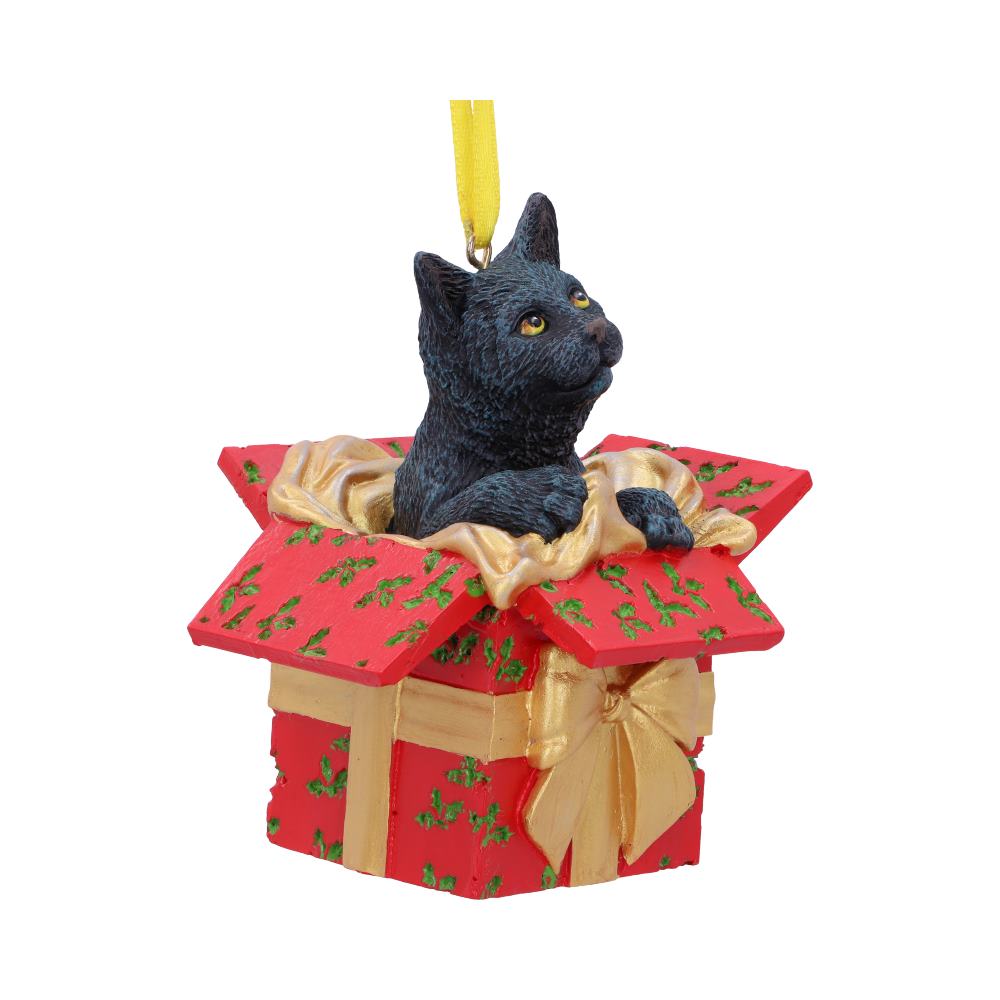 A black cat sits inside a red gift box decorated with holly. A gold bow is tied around the box, and a yellow ribbon hangs from the top.