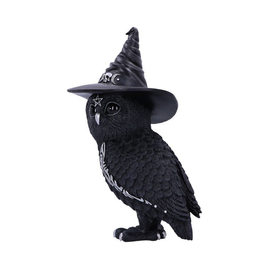 A black owl statue wearing a pointed witch hat, adorned with a pentagram symbol on its forehead, stands against a plain white background.