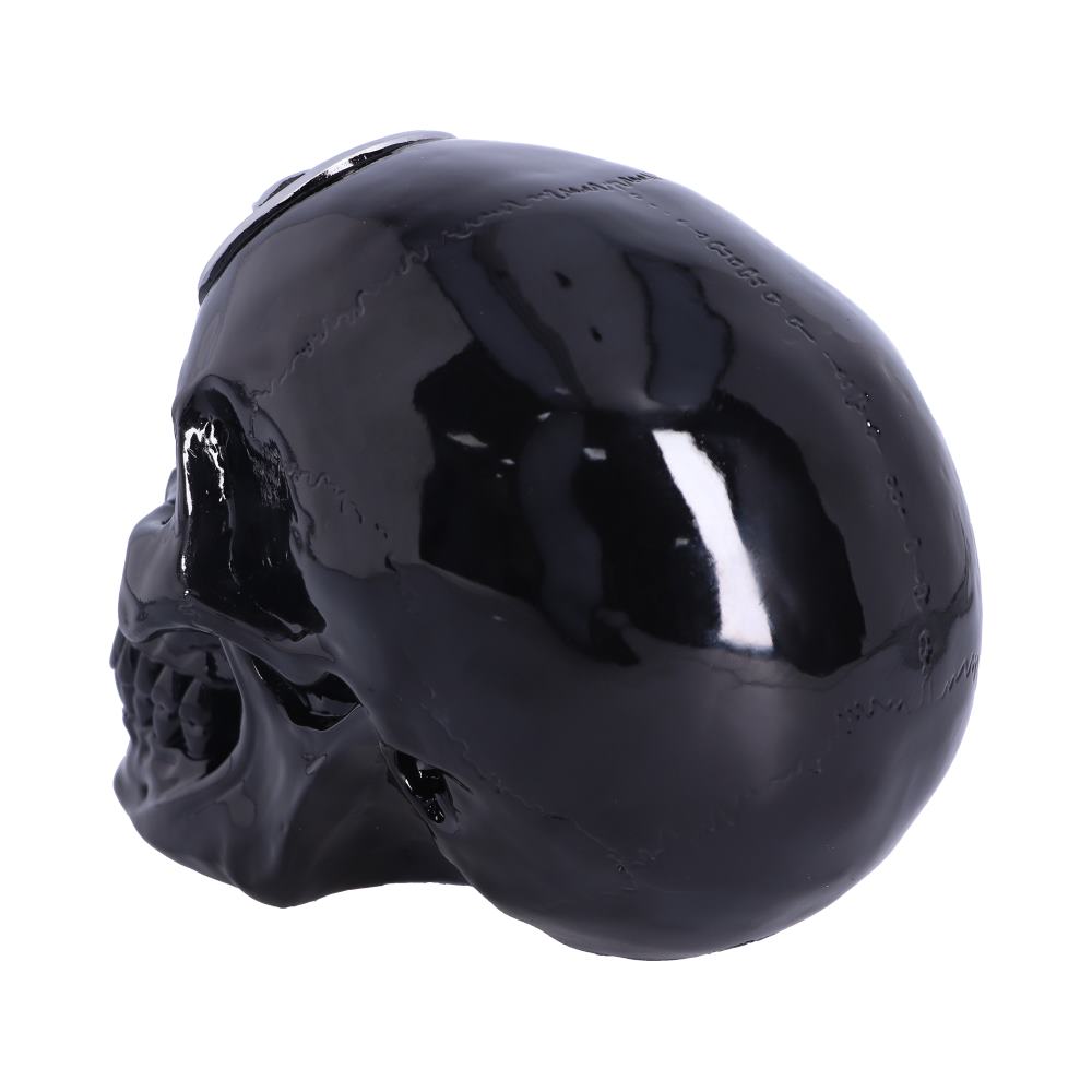 A shiny black skull sits on a white background, highlighting its smooth, reflective surface and detailed contours.