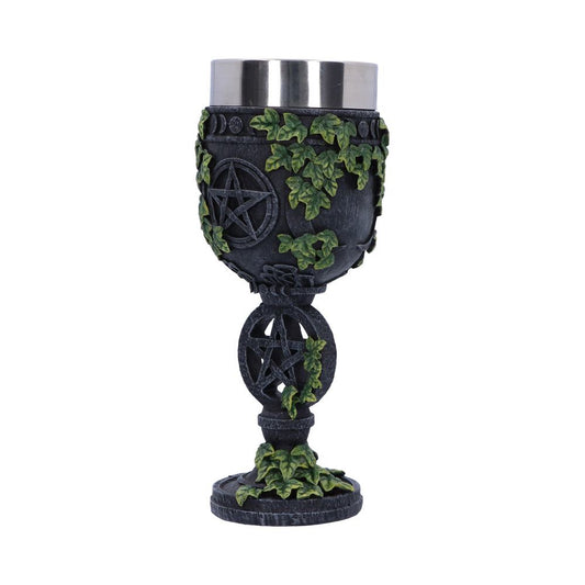 A decorative chalice, adorned with pentagrams and ivy, stands on a white background. The cup has a stainless steel interior.