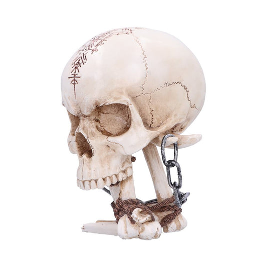 Skull with carved patterns rests shackled by chains and ropes on a white background. The intricate designs add an artistic element, while the binding evokes themes of confinement and mystery.