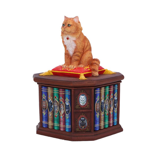 An orange cat figurine sits atop a red cushion on a hexagonal box resembling a bookcase, which is adorned with miniature book spines featuring cat illustrations. The titles include "CAT WANTS," "COMPLETE GUIDE," "CAT DOMINION."