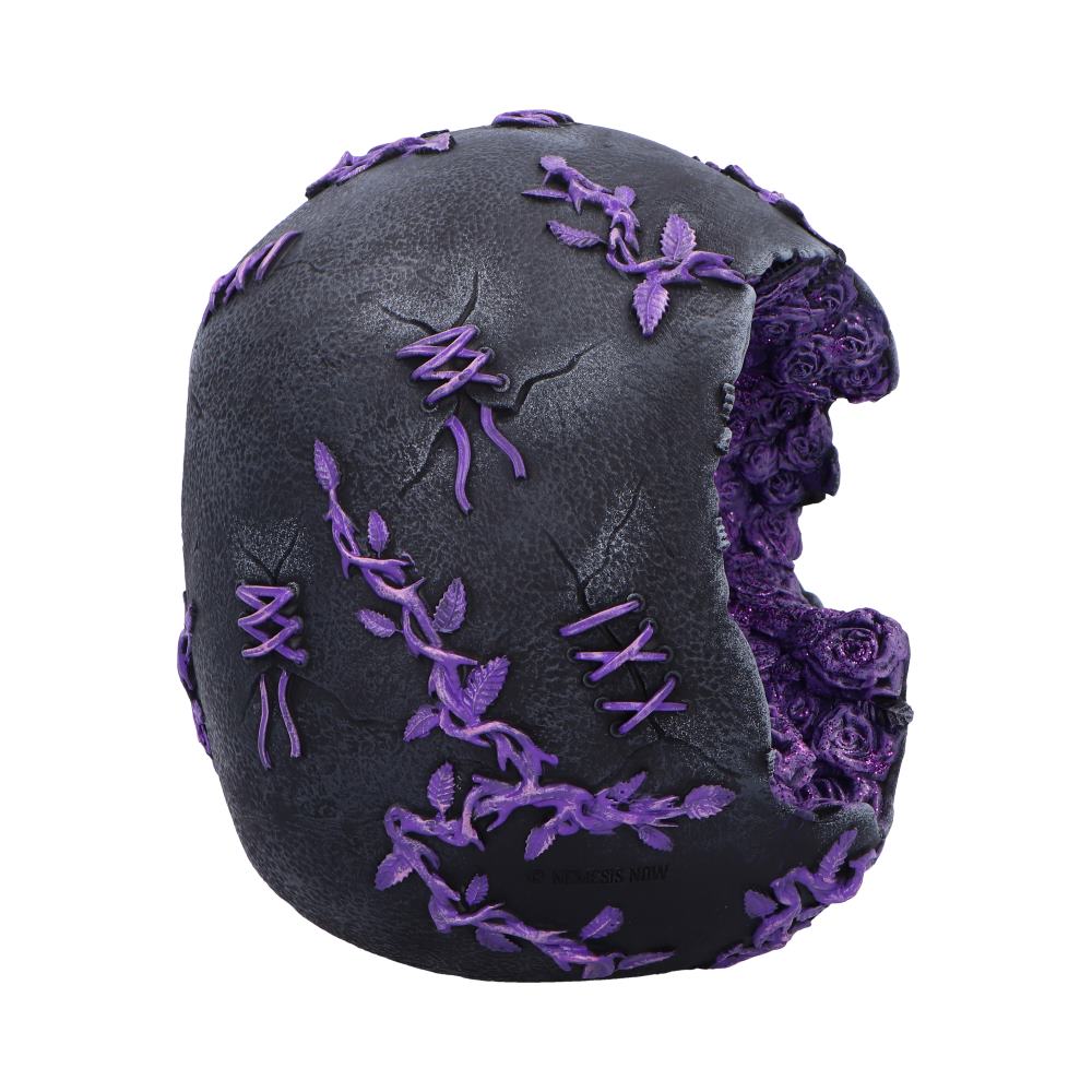 Rose Geode Skull
