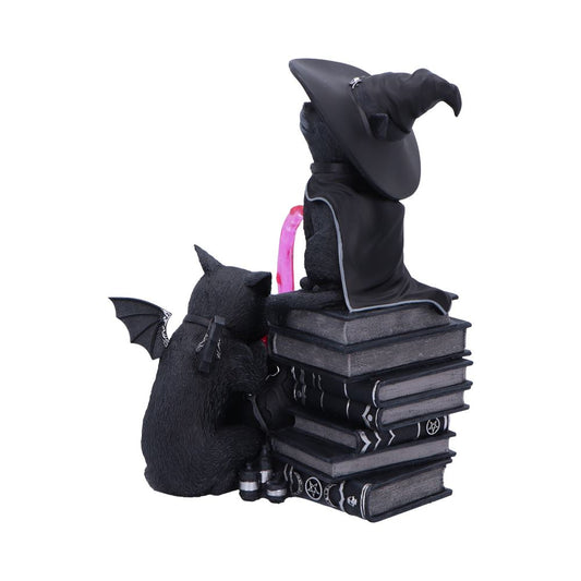 Black cat figurines, one in a witch hat and cloak perched on stacked spellbooks, the other with bat wings leaning against them, both watching a glowing pink crystal on white