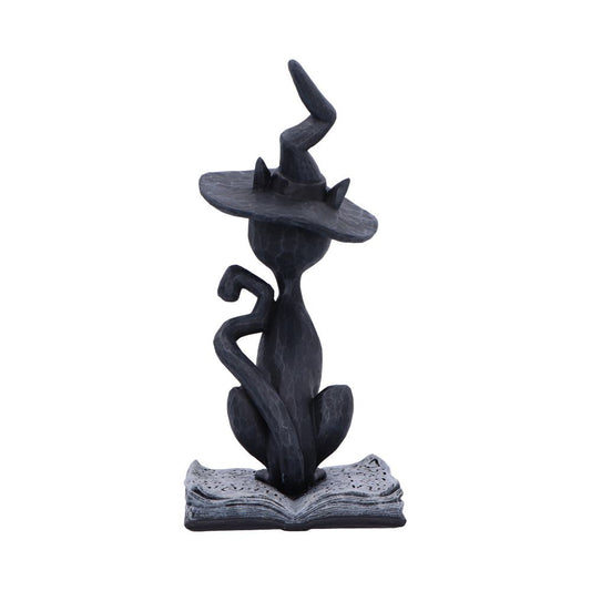 A black stylized cat-like figure with a curled tail wears a crooked witch hat, sitting atop an open textured book against a plain white background.