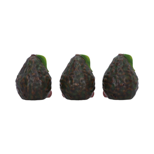 Three bumpy dark green-brown avocados sit side by side, each topped with a small green leaf, isolated on a plain white background.
