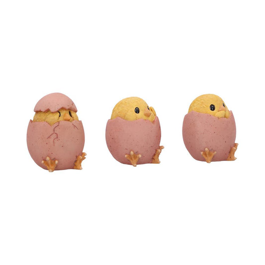 Three small yellow chicks peeking out of cracked pink speckled eggshells, each at a different hatching stage, positioned side by side on a clean white background.