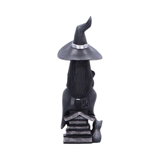 A black witch figurine wearing a crooked hat sits on a stack of books with a small cat beside it against a white background Text on back reads 'N on'.