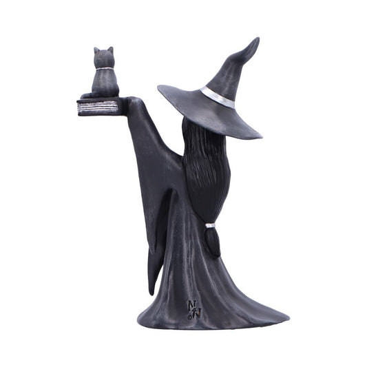 Witch statue holds a book topped by a small cat while facing away, wearing a tall pointed hat and flowing cloak against a plain white background. Text: N & J