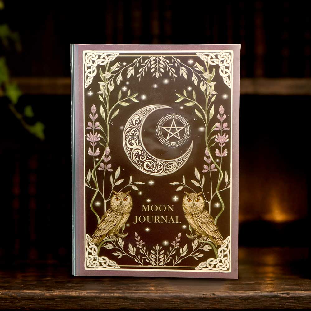Moon Journal - moon journal displayed with coordinating reverse scene