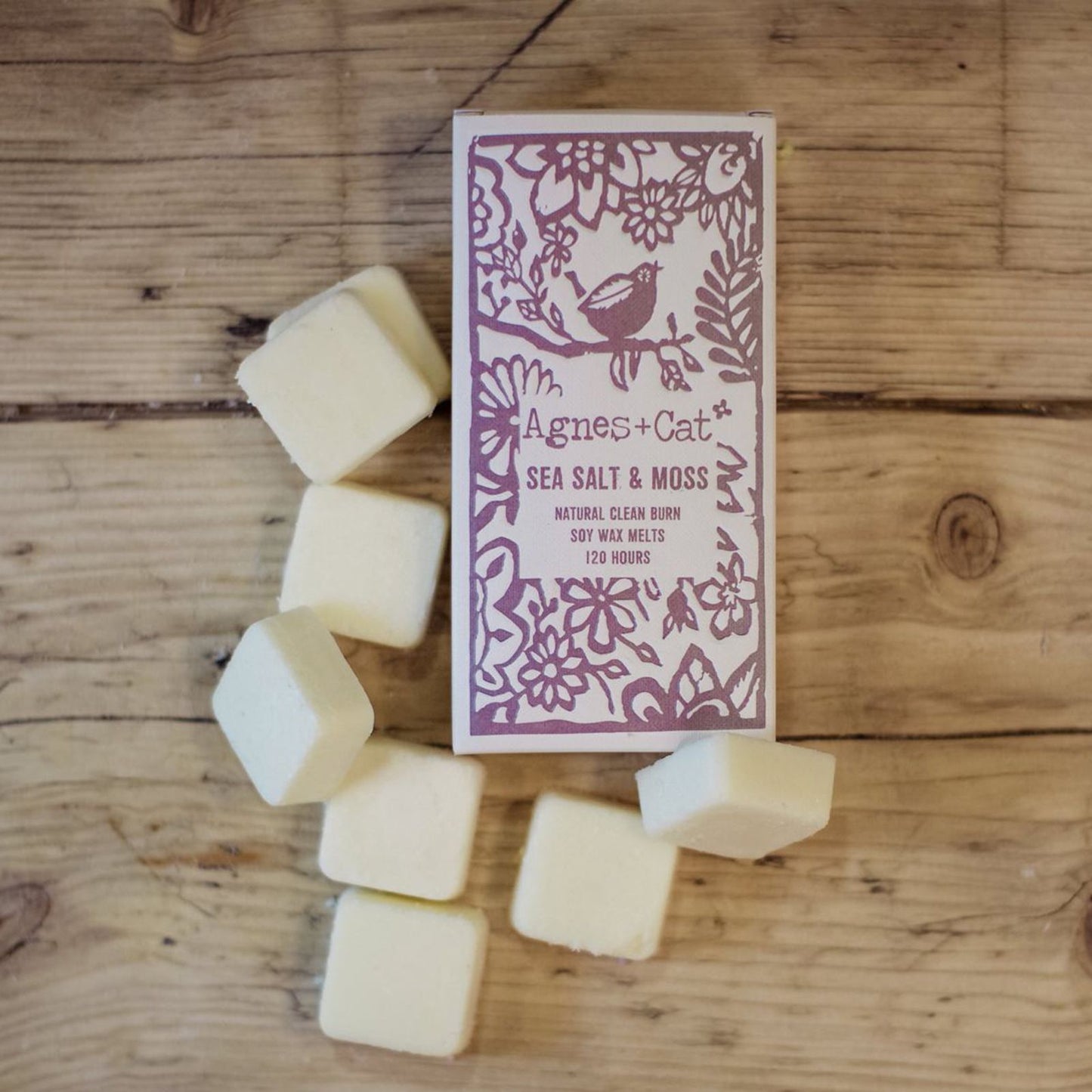 Agnes + Cat Sea Salt and Moss Wax Melts – box of 8 soy wax melts with fresh coastal fragrance