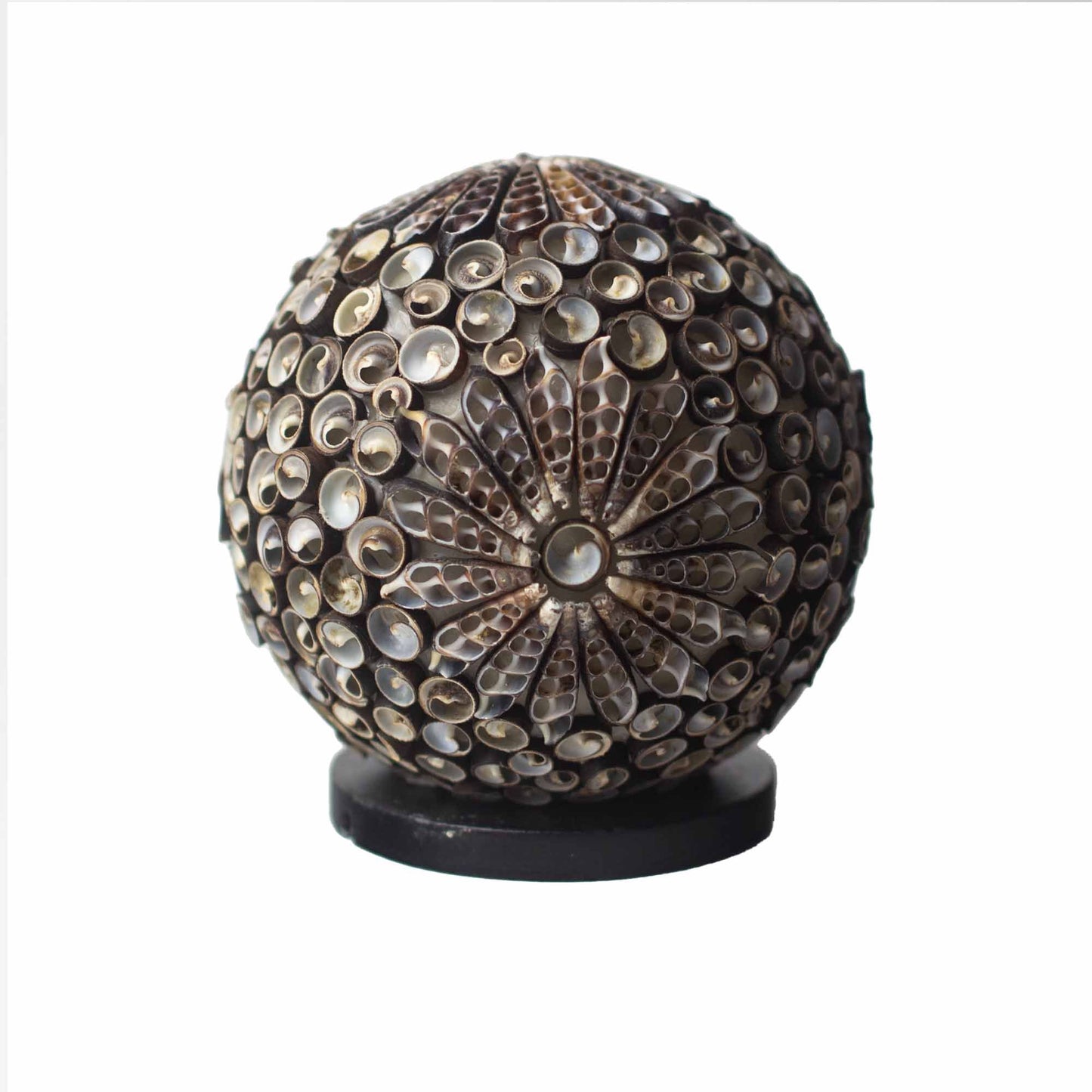Boho Sea Shell Lamp Chocolate Twist Globe Small – small natural shell globe lamp with soft ambient glow for coastal boho home décor UK