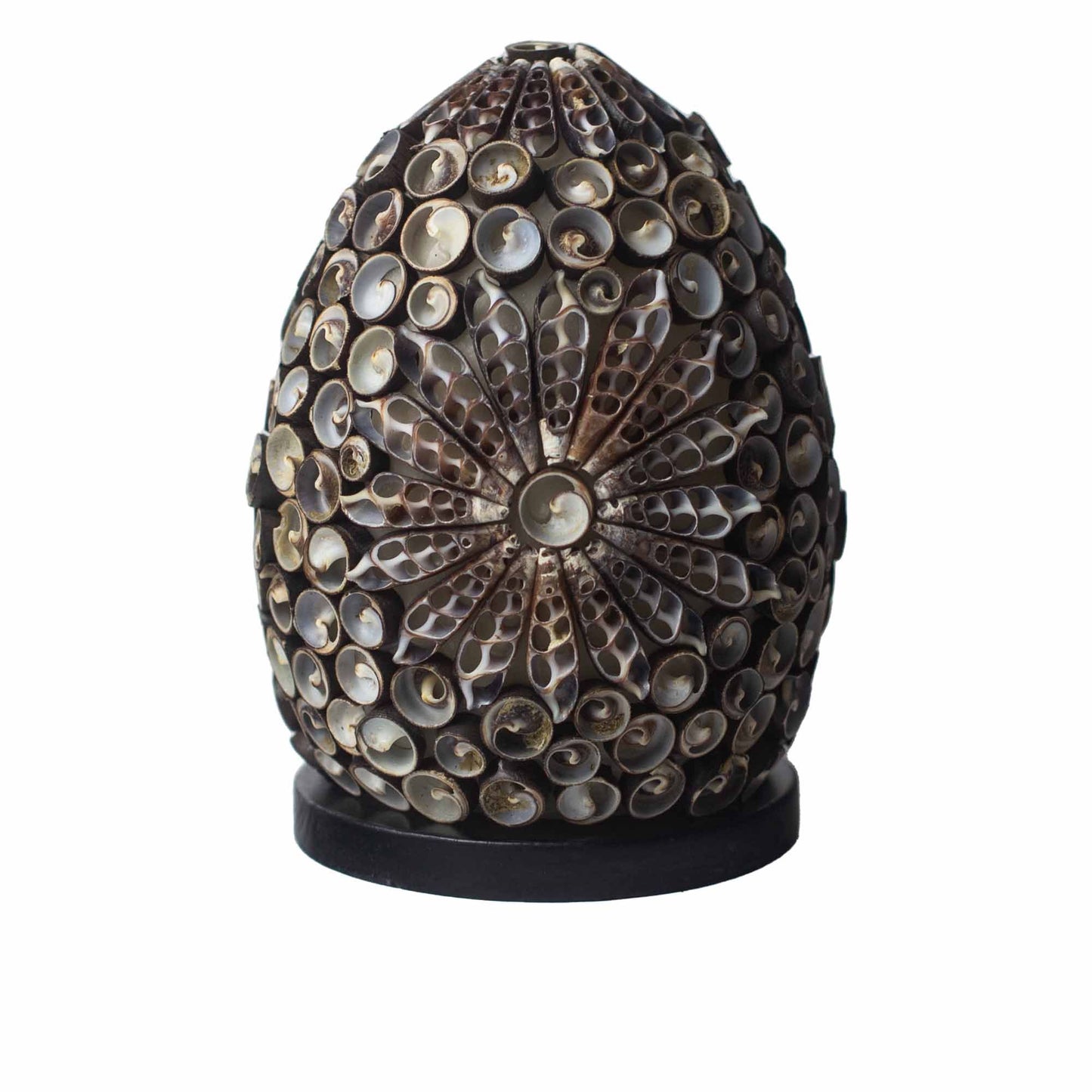 Boho Sea Shell Lamp Chocolate Twist Oval Small – oval natural shell lamp with soft ambient glow for coastal boho home décor UK