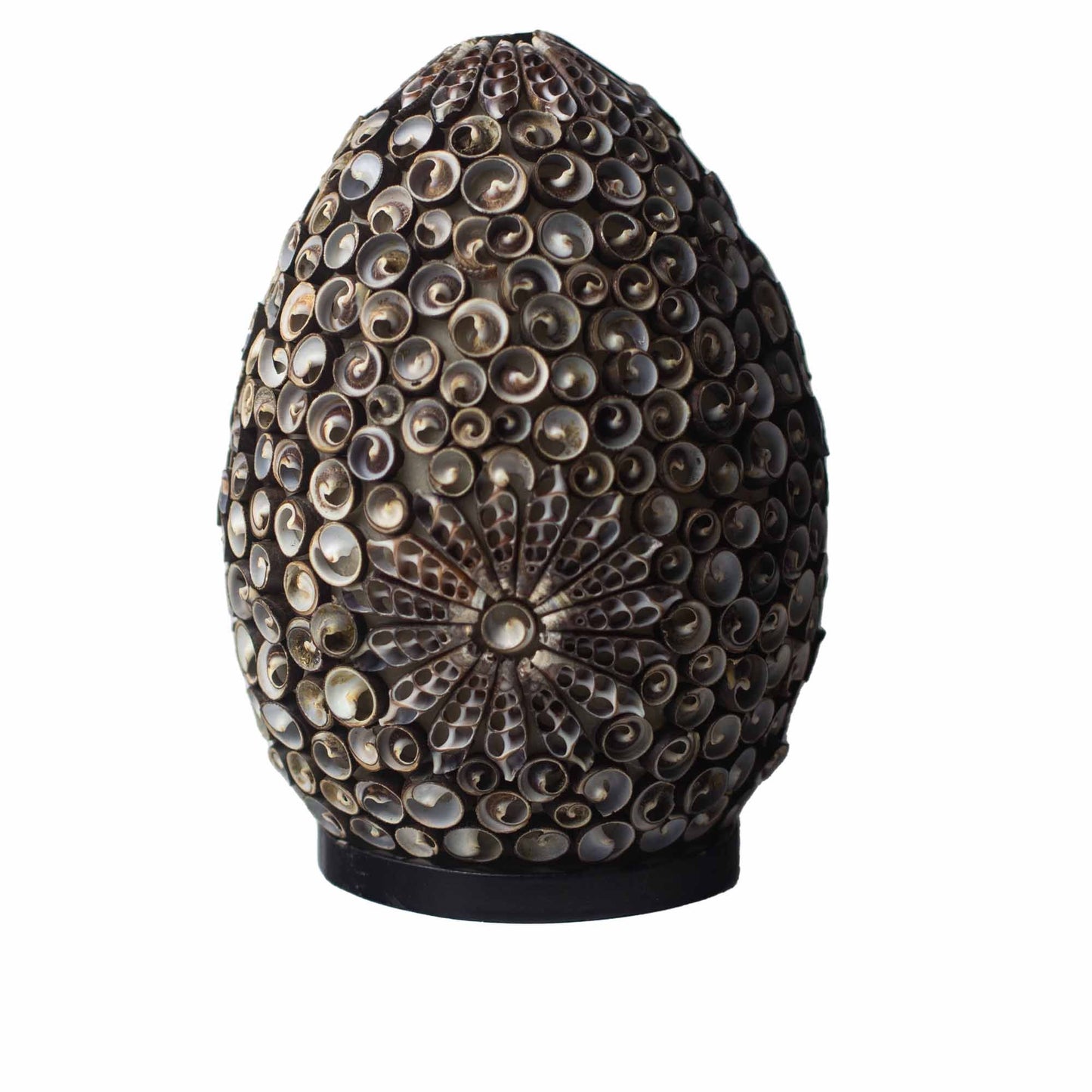 Boho Sea Shell Lamp Chocolate Twist Oval Medium – medium-sized natural shell lamp with soft ambient glow for coastal boho home décor UK