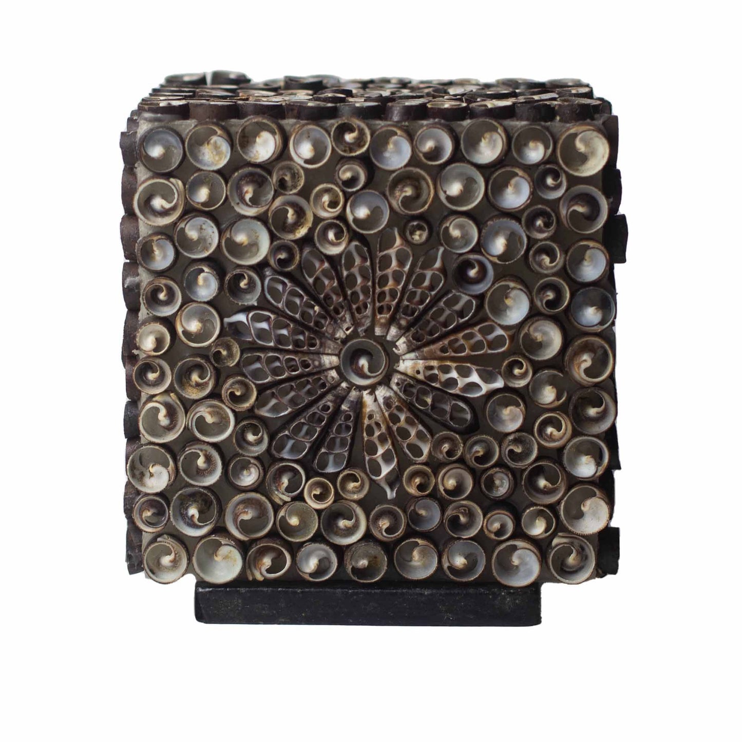 Boho Sea Shell Lamp Chocolate Twist Square Small – compact natural shell lamp with soft ambient glow for cosy coastal home décor UK